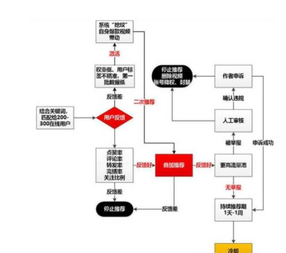 抖音账号永久封禁自救指南，账号申诉失败后的6种解决方案【抖音代举报】