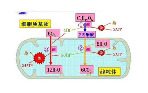 银行重大舆情风险事件应对流程解析