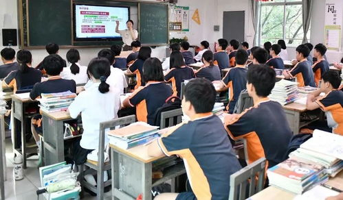 学校无负面舆情状况阐释，营造良好教育环境