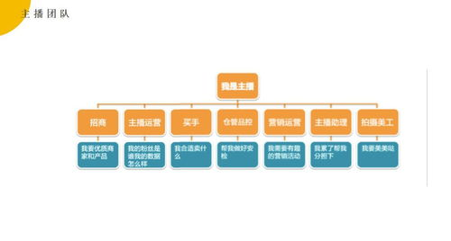 一、直播平台的选择与布局