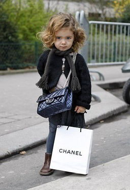 一、Chanel服饰图片的识别特点