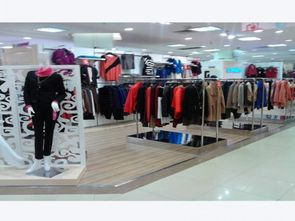 一、迪奥服饰有限公司的辉煌历程