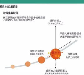 一、企业概述与核心竞争力