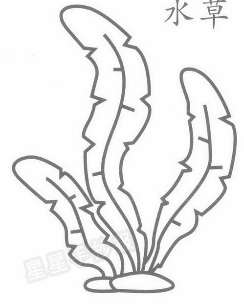 一、水族服饰简笔画的特点与魅力