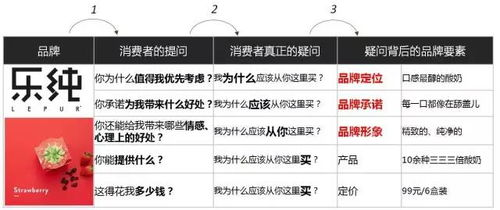 一、品牌定位与特色