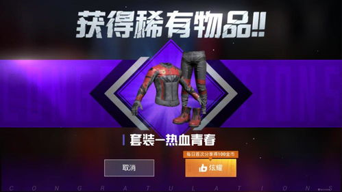 一、v10玩家服饰币的价值体现