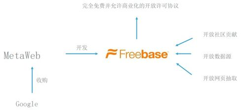 一、企业概述与市场定位
