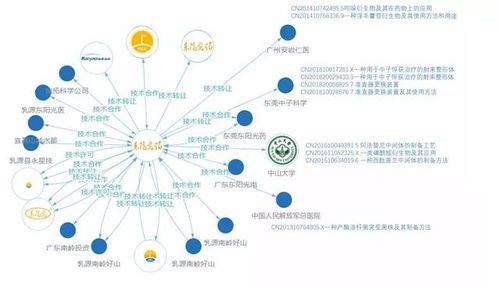 一、企业概述与发展历程