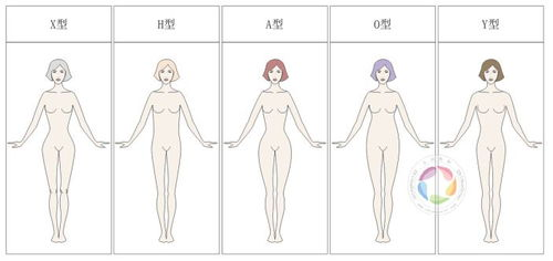 一、了解自身体型