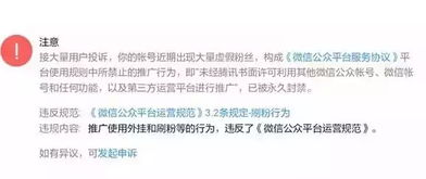一、账号诊断：确认永久封号的具体原因