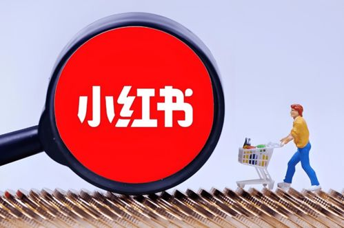 一、了解小红书的基本规则