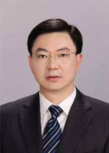 刘伟的职业背景与技术专长