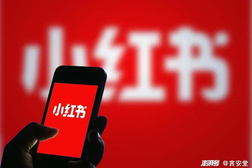 一、了解小红书账号封号的原因