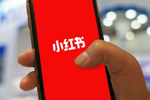 一、了解小红书封号原因