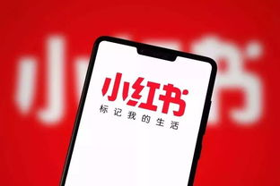一、小红书封号常见原因