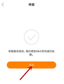 快手举报机制概述