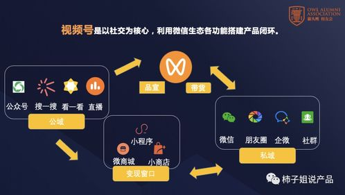 了解视频号举报机制
