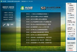 五、游戏设置与优化