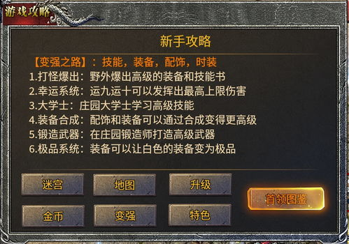新开传奇新服盒子的特点