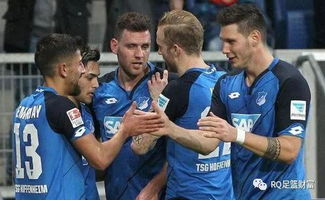 霍芬海姆积极备战,球队盼新赛季有进步,霍芬海姆首发