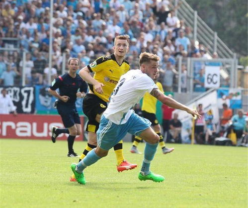 霍芬海姆迎战弱旅，球队盼轻松取胜,霍芬海姆主教练是谁