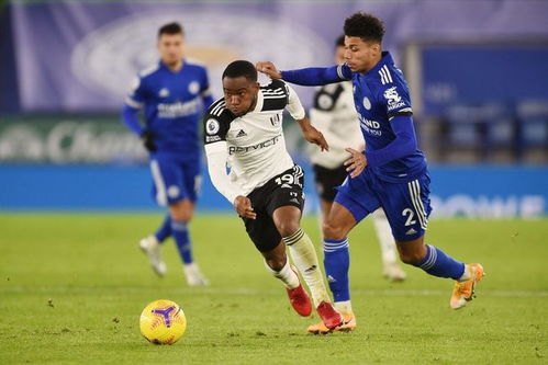 富勒姆防守体系稳固，对手得分难度加大,富勒姆青训