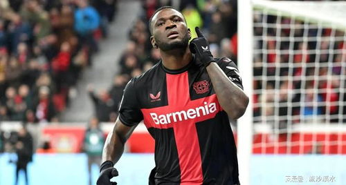 勒沃库森新帅战术革新，成绩提升,勒沃库森精选球员