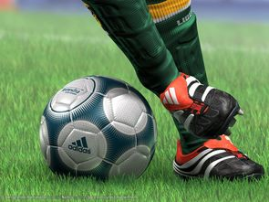 法兰克福引援增强实力,欧战可期,欧盟 法兰克福