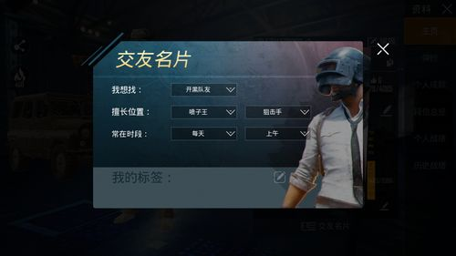 绝地求生卡盟平台官网概述