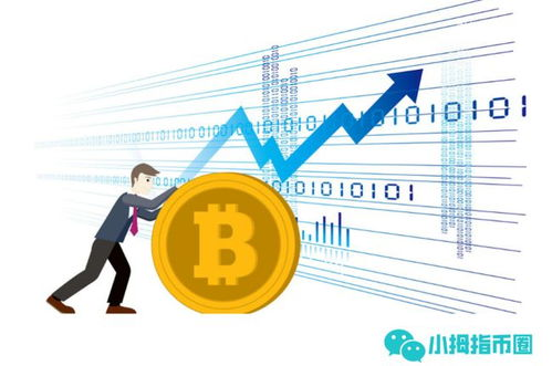 数字货币的市场动态