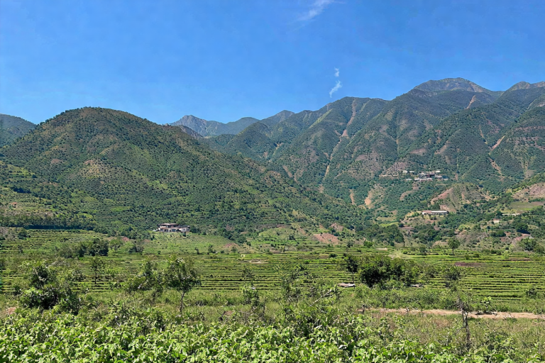 当前卡盟市场生态现状分析