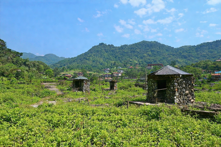 战术竞技新生态：卡盟平台发展历程解析