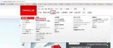 官方正版下载渠道介绍