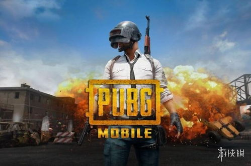 PUBG游戏介绍
