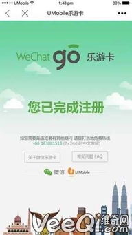乐游卡简介