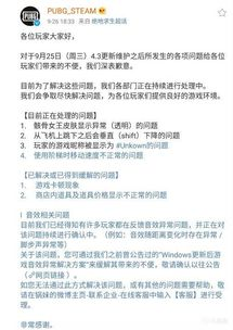 PUBG卡顿现象概述