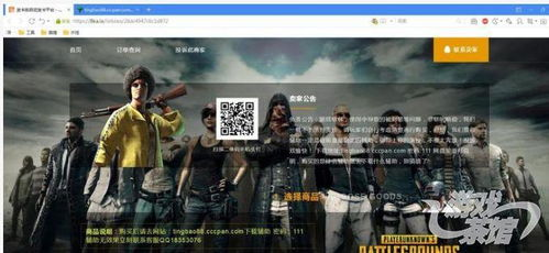 吃鸡自动发卡平台概述