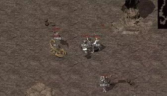 一、传奇中变私服概述