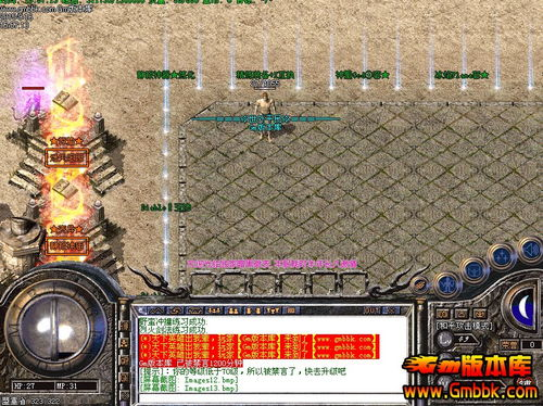 一、传奇私服的基本概念与背景