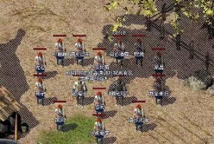 变态私服传奇,风险与真相全解析-玩家必看指南