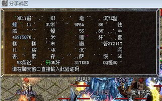 变态传奇私发布网服,风险与选择深度解析