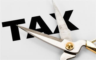 超级变态传奇私服发布网,揭秘非法私服背后的真相与风险-玩家必看指南