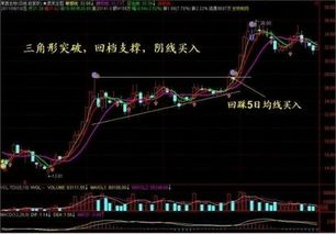 一、杨百万炒股软件的功能亮点