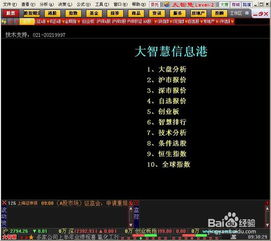 三、杨百万炒股软件的高级使用技巧
