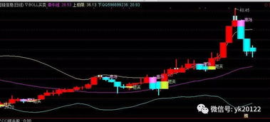 四、实战案例分析：如何利用杨百万炒股软件捕捉投资机会