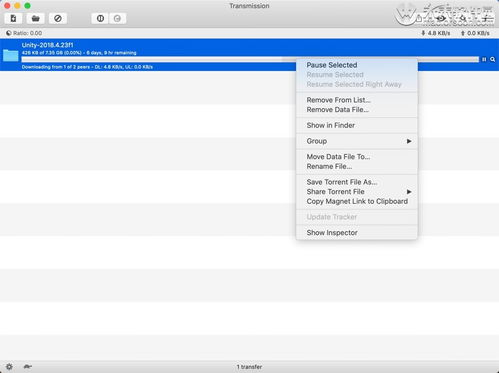 二、主流下载软件介绍
