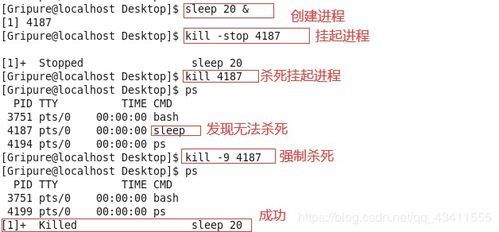 二、进程管理的重要性