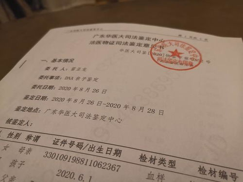 亲子鉴定的基本概念与价格范围