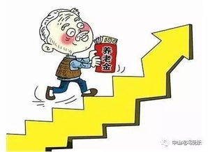 养老保险基础知识与缴费制度