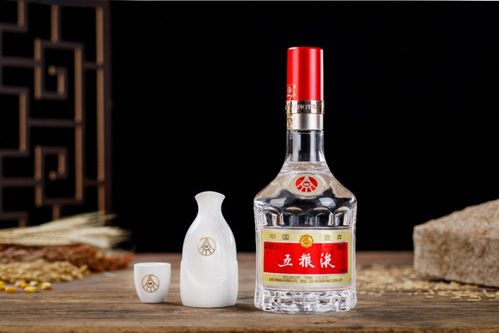 五粮液品牌概述与市场定位